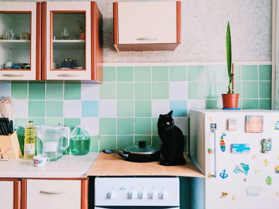 Colour drenched green kitchen in a Bath home